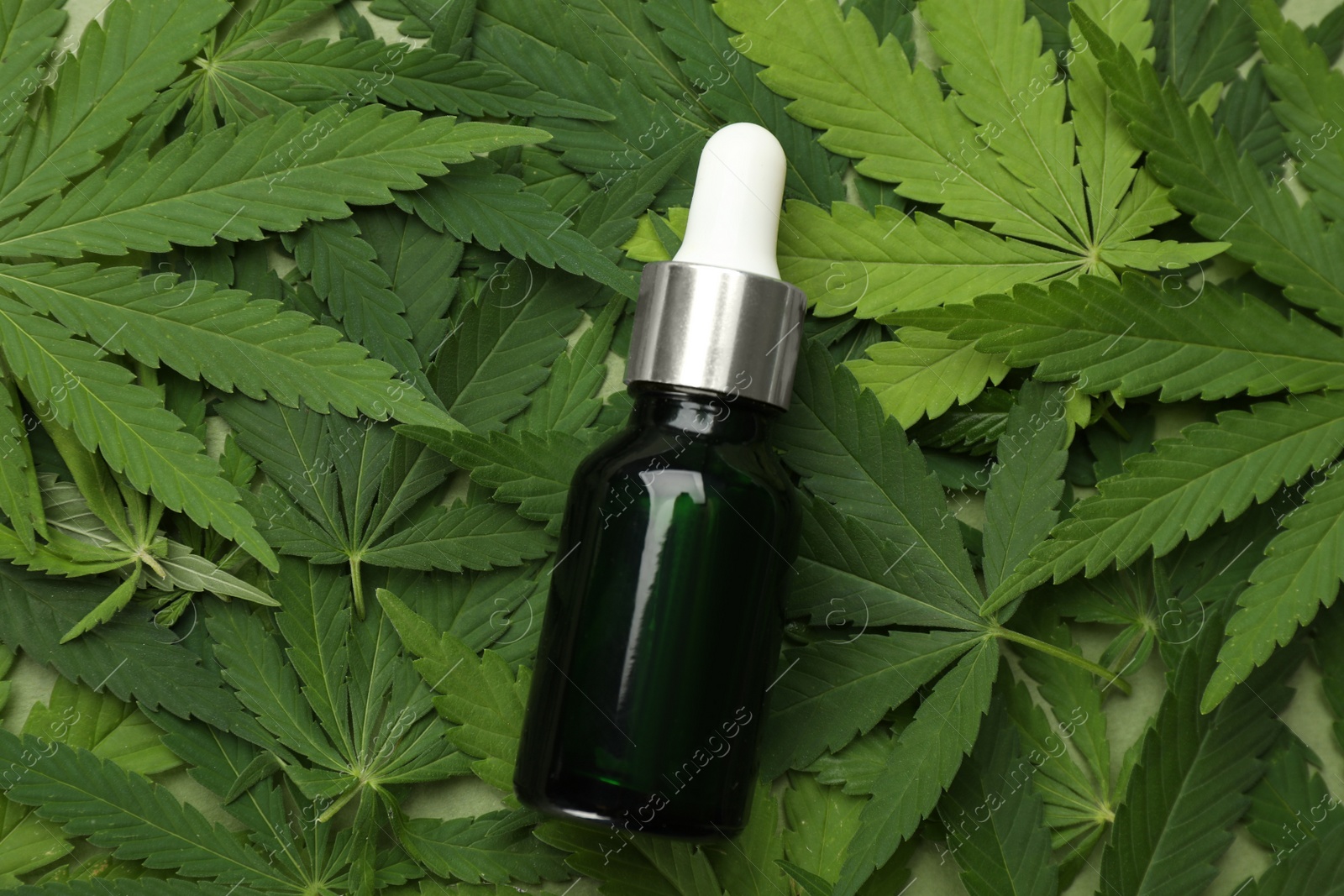 Photo of Bottle of CBD oil or THC tincture on fresh hemp leaves, top view