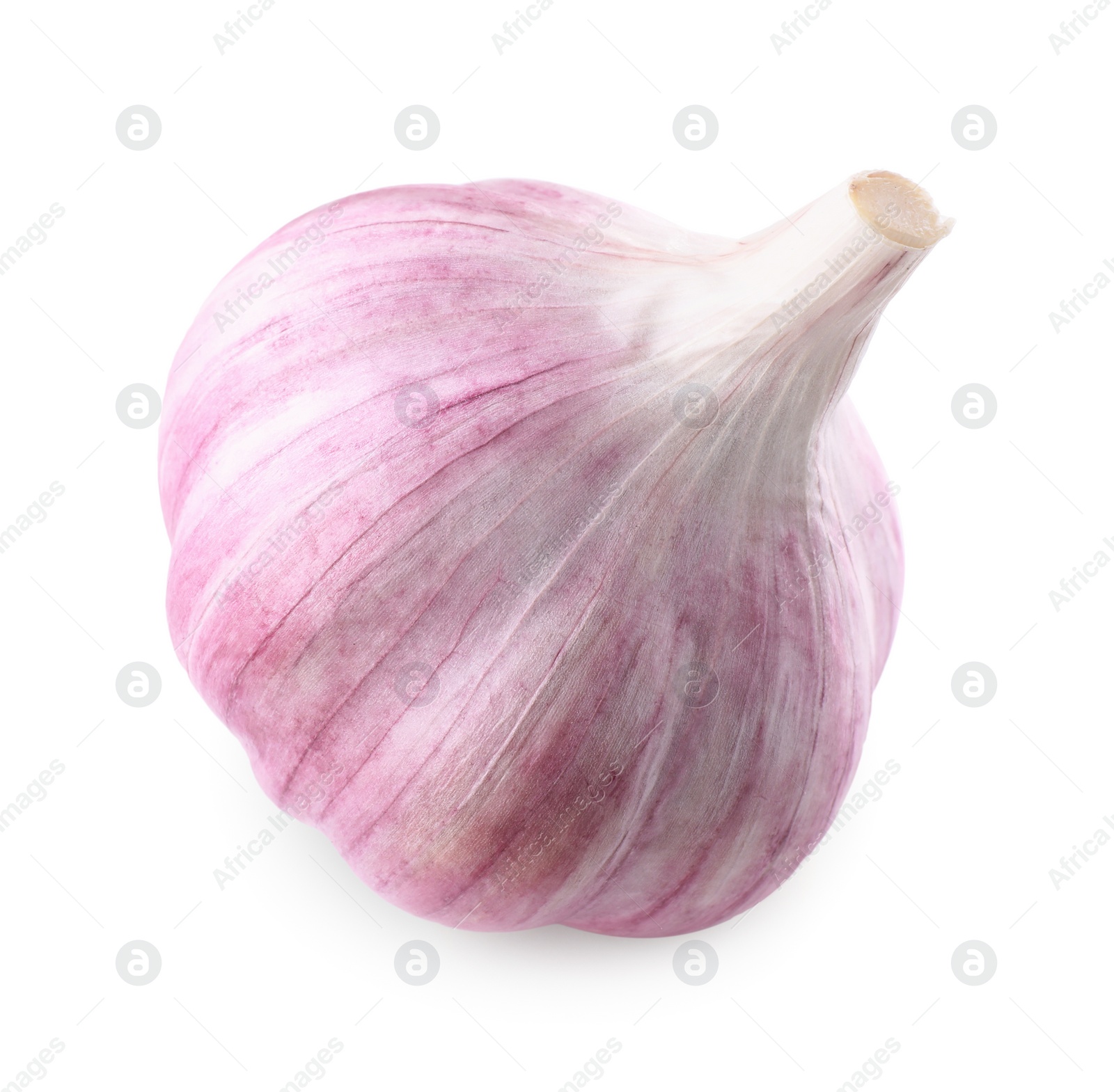 Photo of Fresh raw garlic head isolated on white