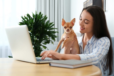 Photo of Young woman with chihuahua working on laptop at table. Home office concept