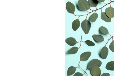 Photo of Eucalyptus branches with fresh green leaves on color background, flat lay. Space for text