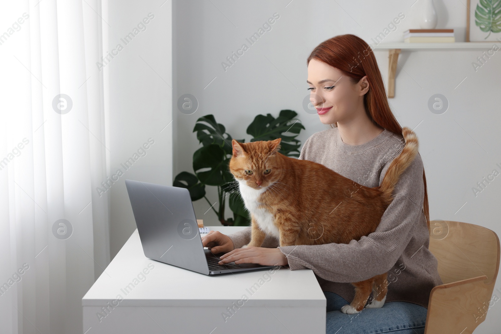 Photo of Woman with cat working at desk. Home office