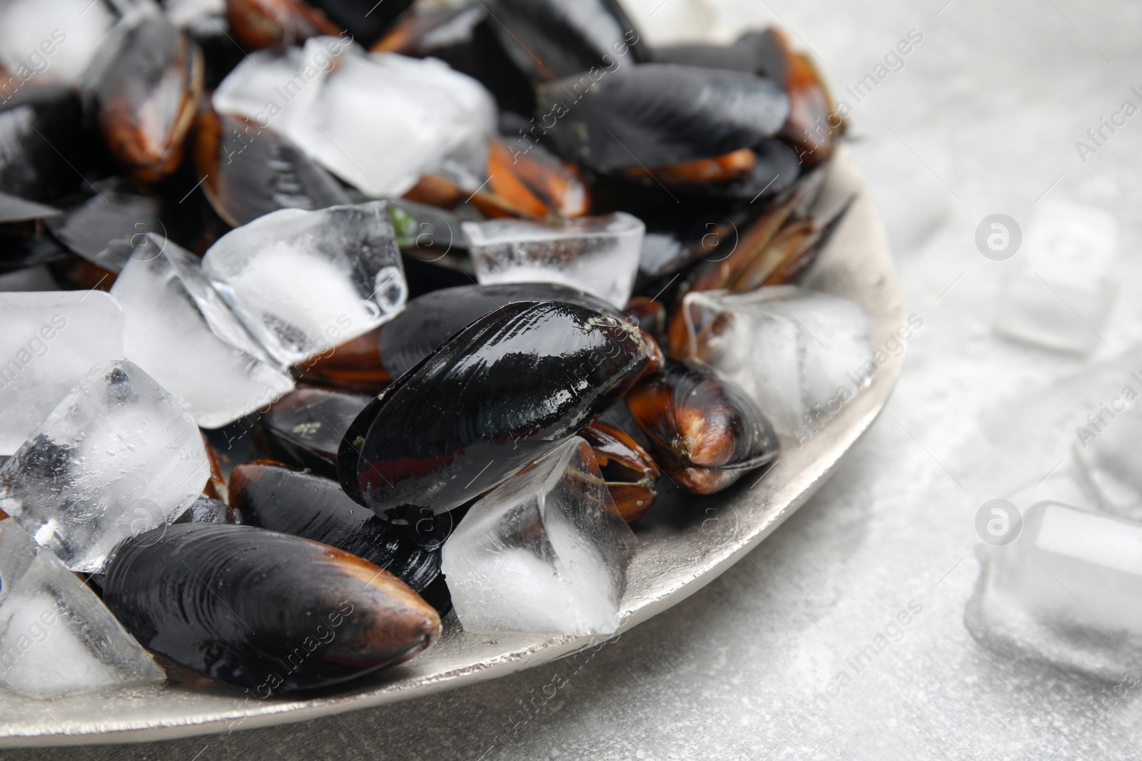 Photo of Plate of raw mussels and ice on light table, closeup