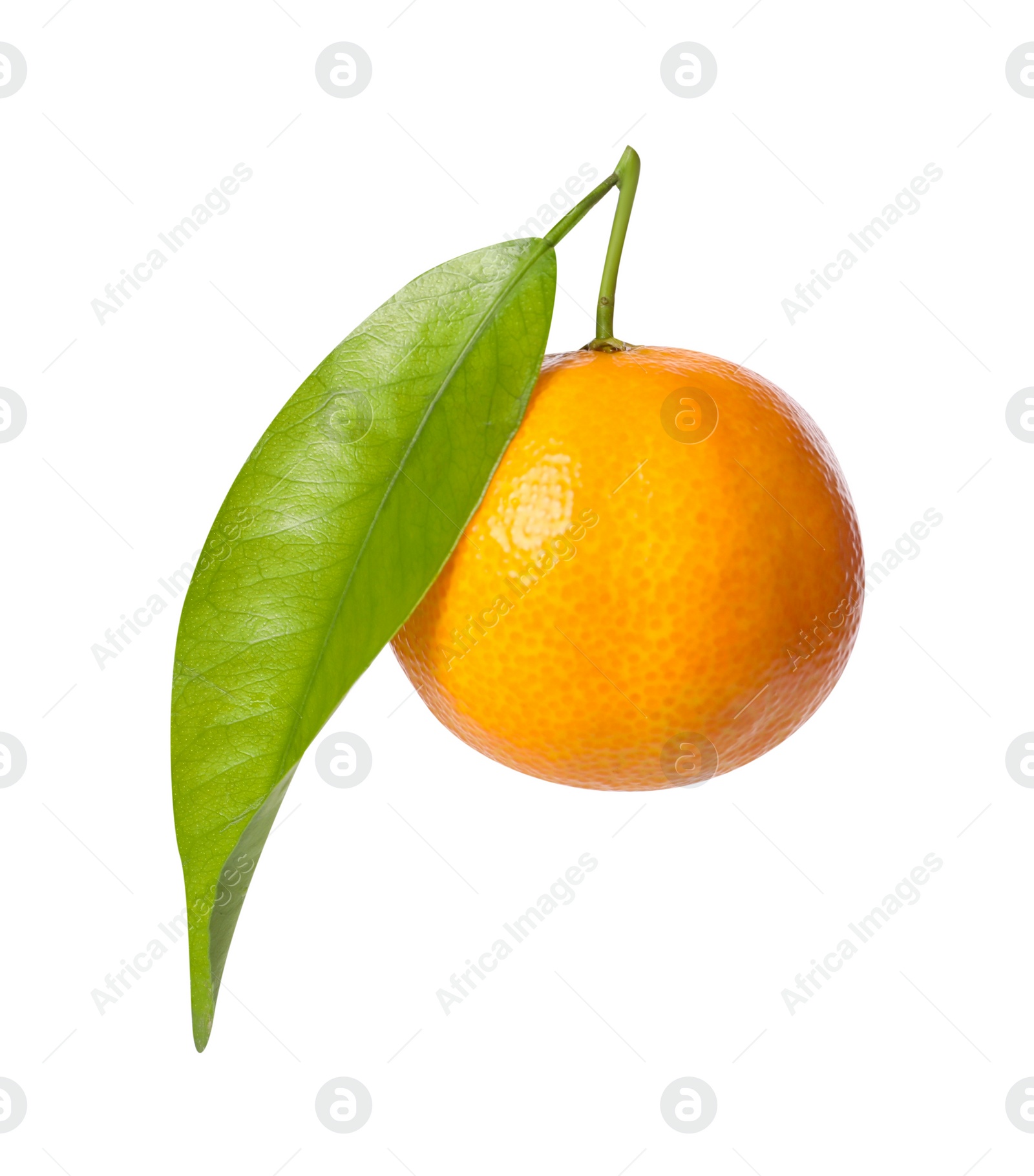 Photo of One fresh tangerine with green leaf isolated on white