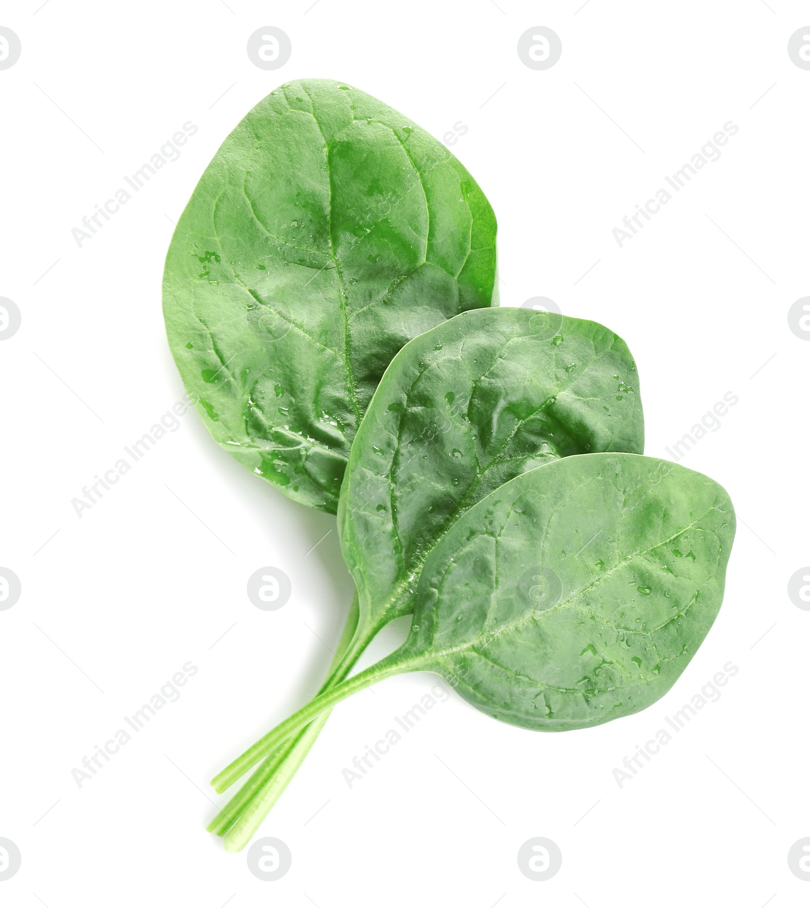 Photo of Fresh green healthy baby spinach leaves isolated on white, top view