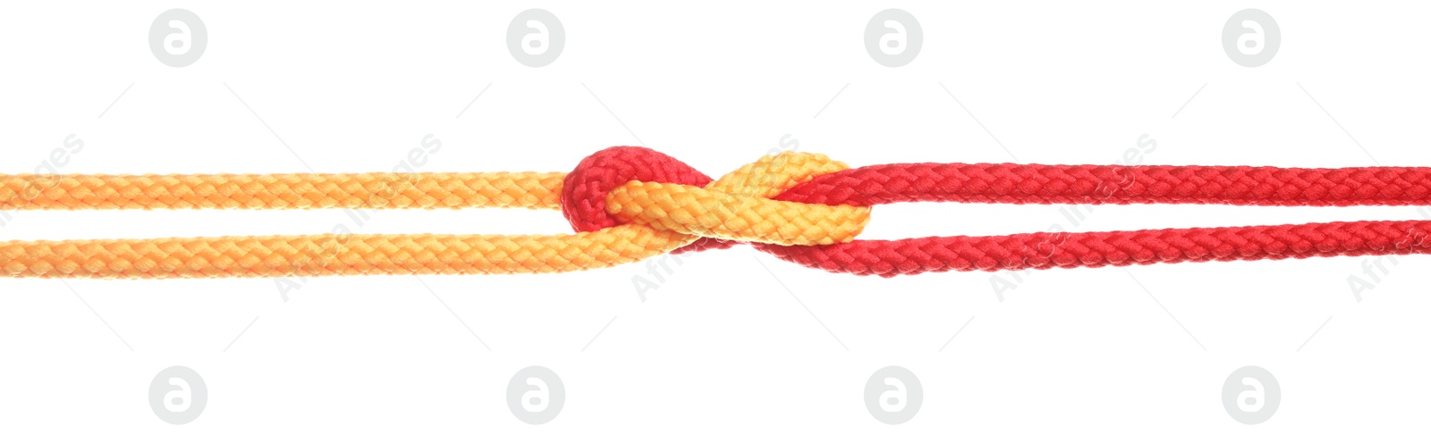 Photo of Colorful ropes tied together with knot isolated on white. Unity concept