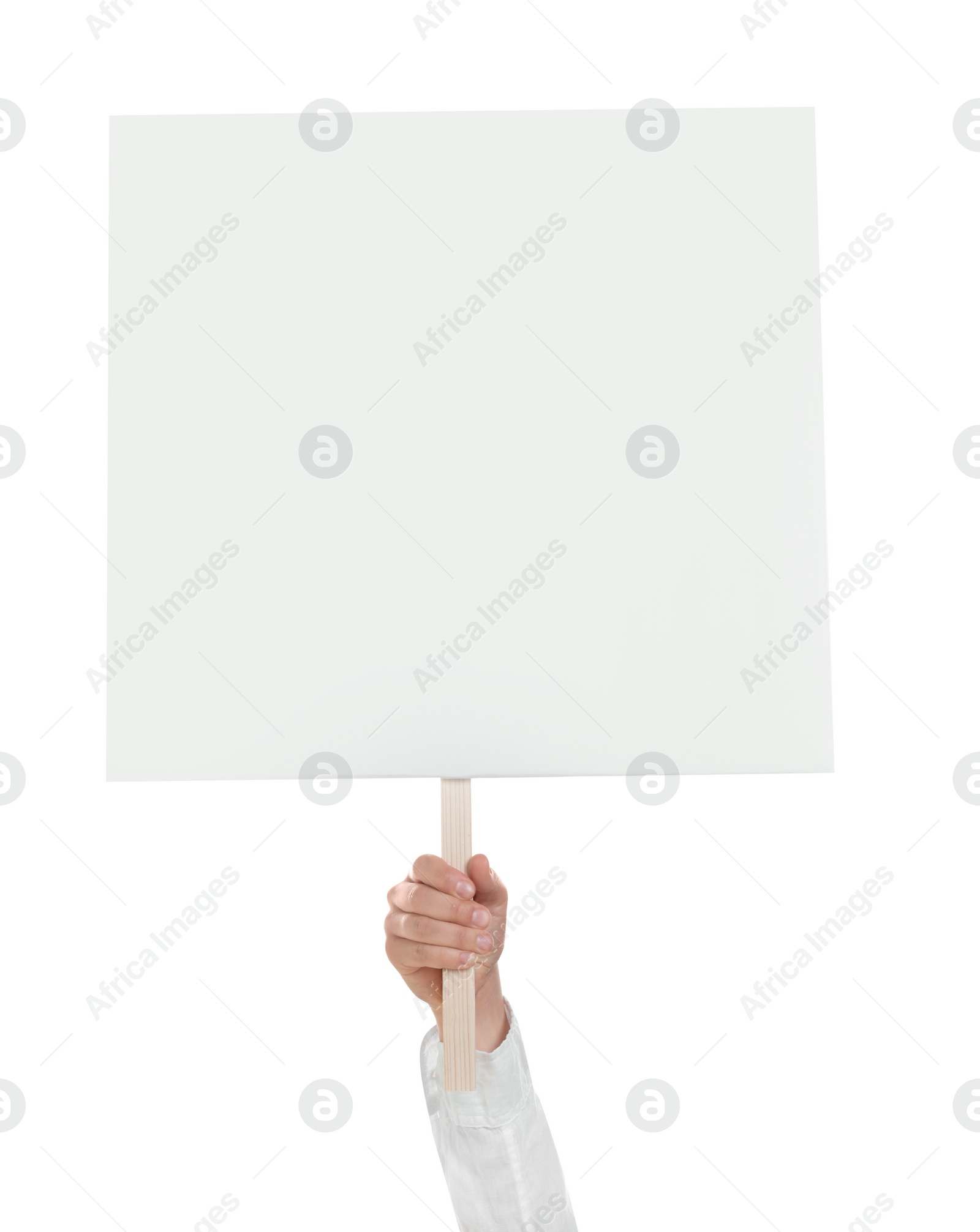 Photo of Woman holding blank protest sign on white background, closeup