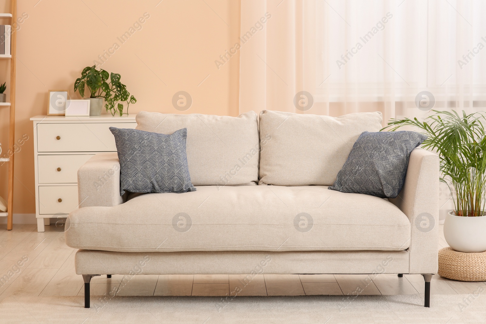 Photo of Comfortable sofa and potted plants in living room. Interior design