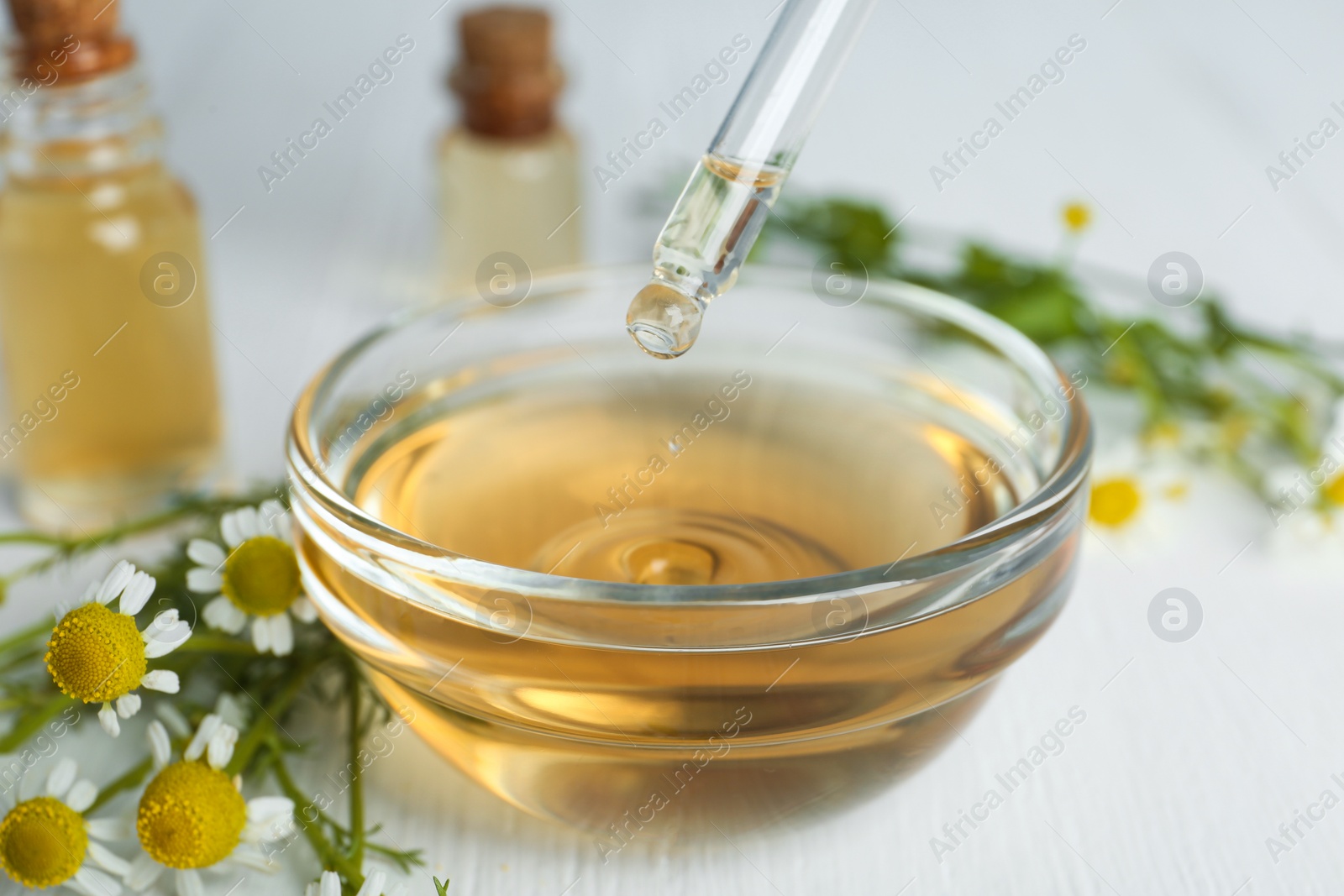 Photo of Chamomile essential oil dripping from pipette into bowl on white wooden table, closeup