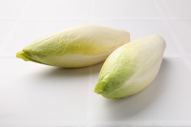 Fresh raw Belgian endives (chicory) on white tiled table