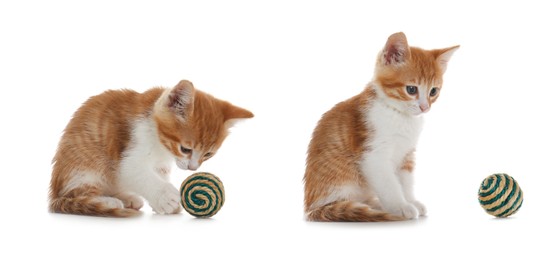 Image of Adorable kittens playing with toys on white background, collage. Lovely pet 