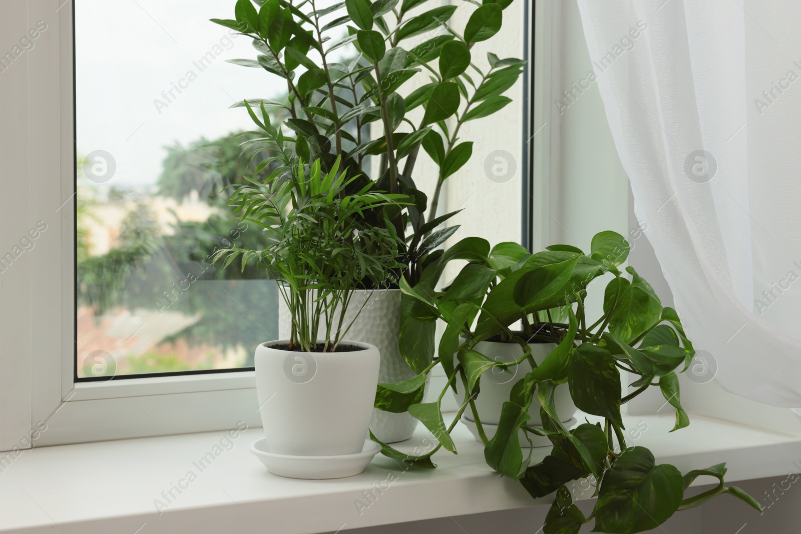 Photo of Different potted houseplants on windowsill indoors, space for text