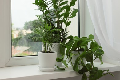 Different potted houseplants on windowsill indoors, space for text