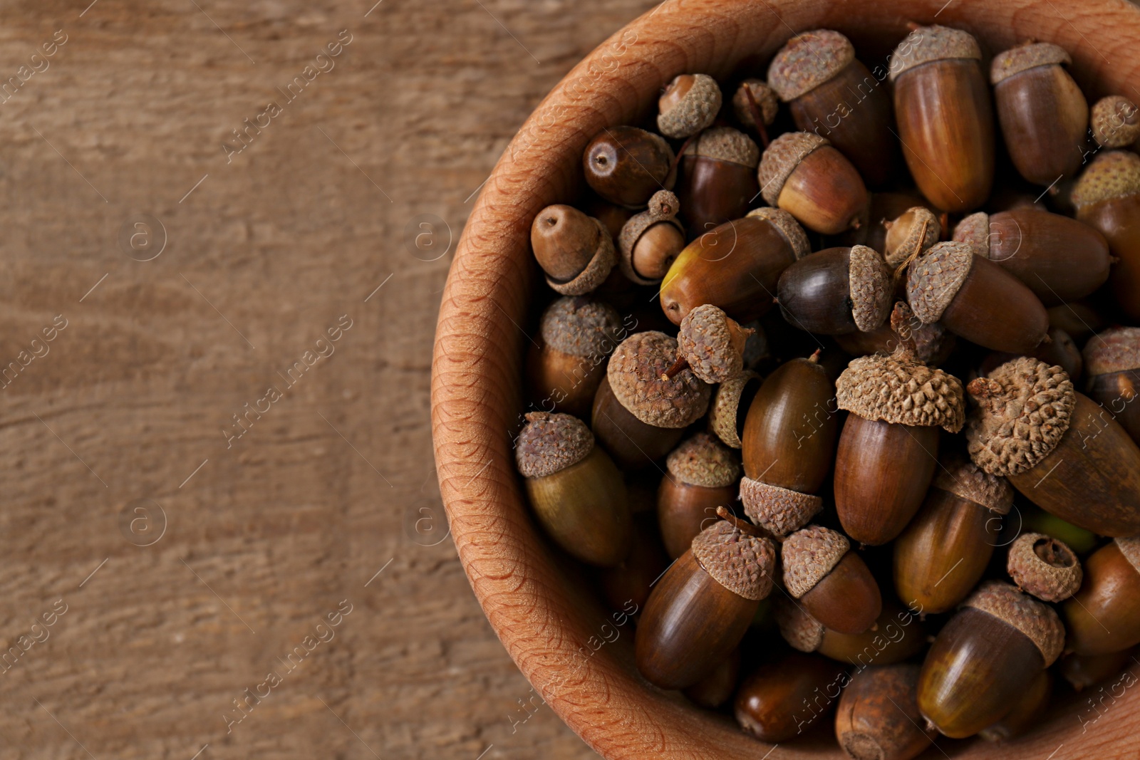 Photo of Bowl of acorns on wooden table, top view. Space for text