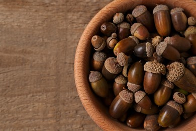 Bowl of acorns on wooden table, top view. Space for text