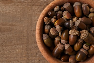 Photo of Bowl of acorns on wooden table, top view. Space for text