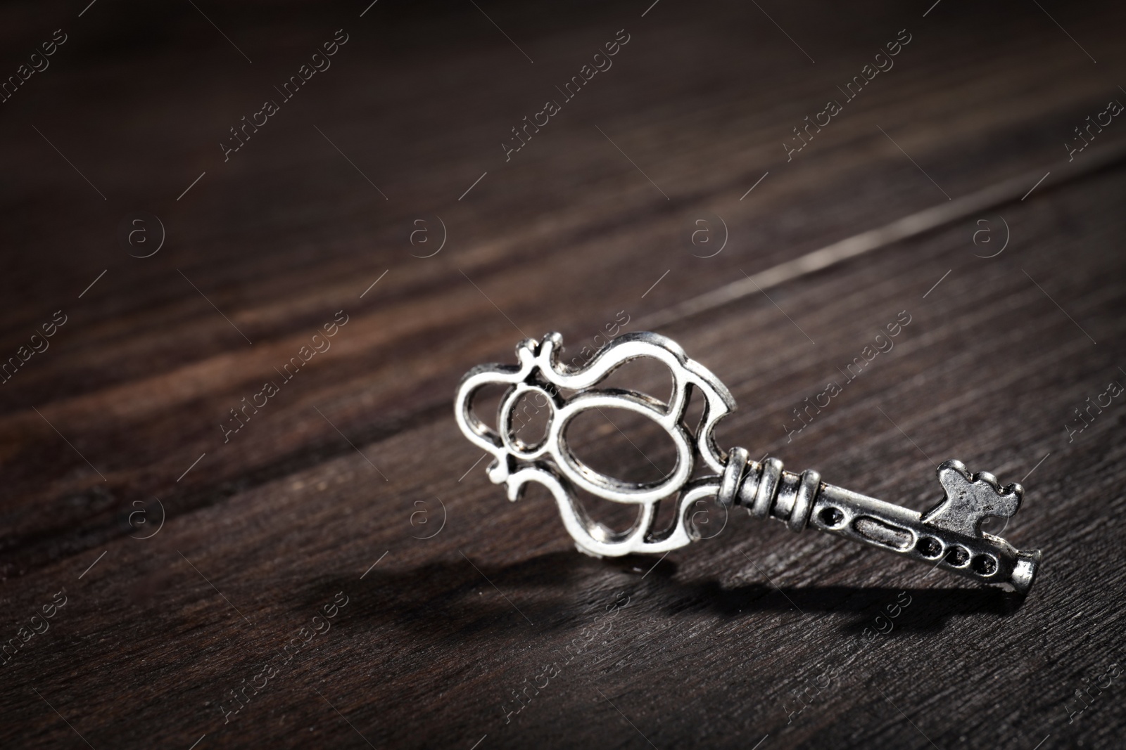 Photo of Old vintage key on wooden background, space for text