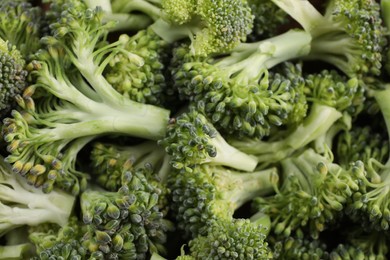 Photo of Fresh raw broccoli as background, closeup view