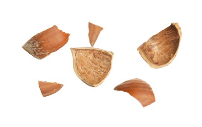 Photo of Pieces of hazelnut shell on white background