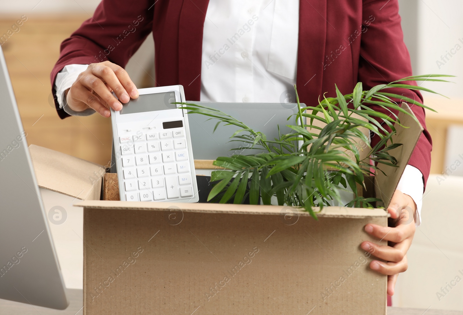 Photo of Unemployment problem. Woman with box of personal belongings in office, closeup