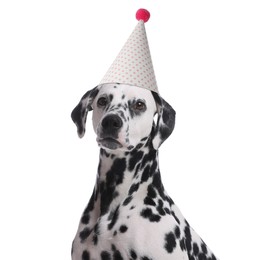 Cute Dalmatian dog with party hat on white background