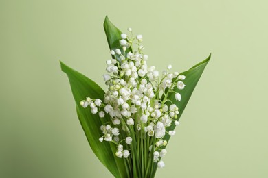 Photo of Beautiful lily of the valley flowers with leaves on light green background