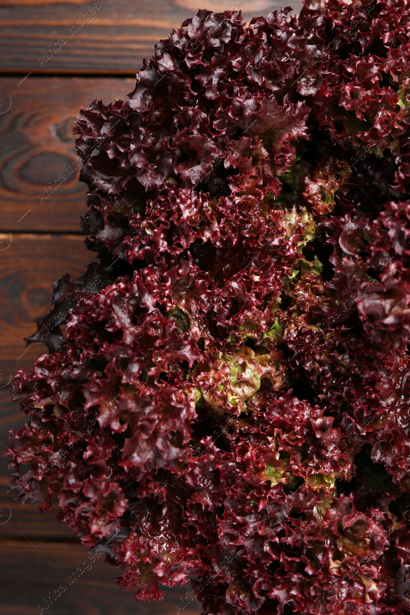 Photo of Fresh red coral lettuce on wooden table, top view