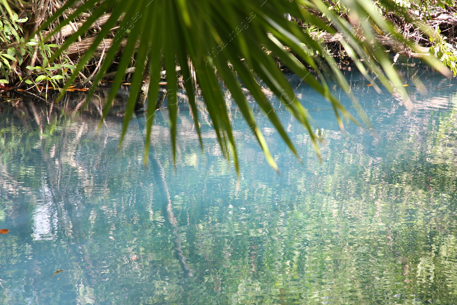 Photo of Picturesque view of beautiful lake in jungle