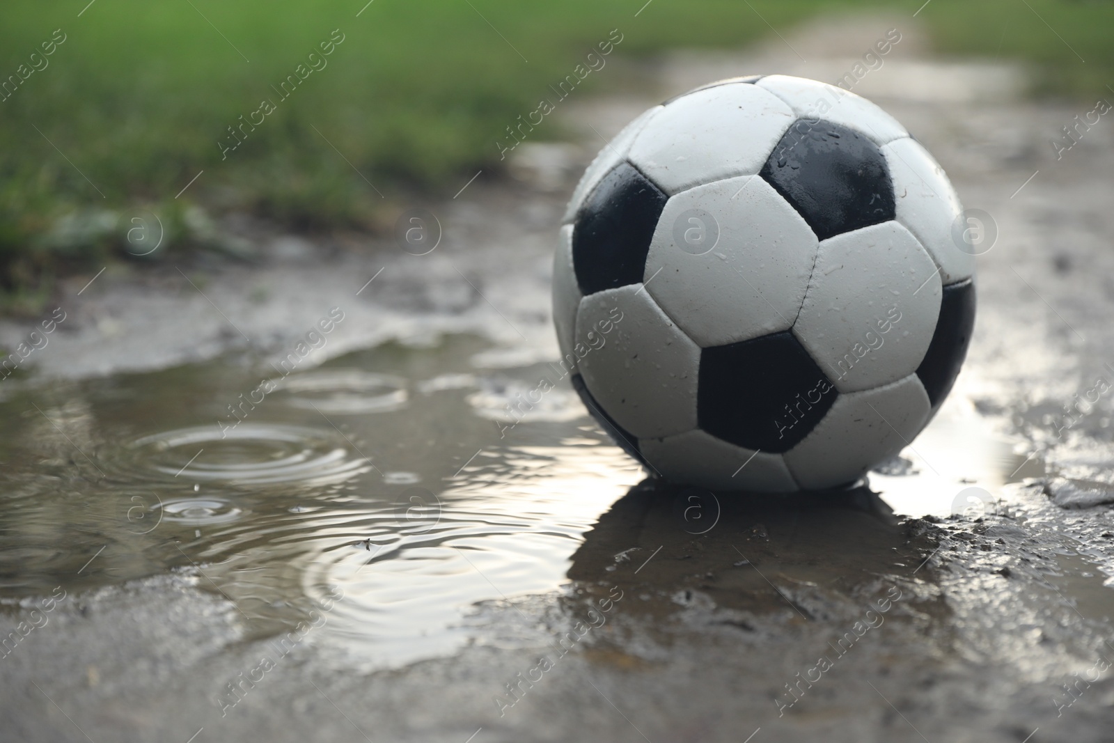 Photo of Leather soccer ball in puddle outdoors, space for text