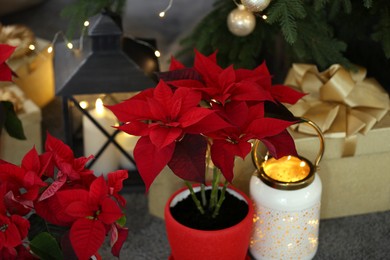 Photo of Potted poinsettias, burning candle and festive decor near tree on floor in room, closeup. Christmas traditional flower