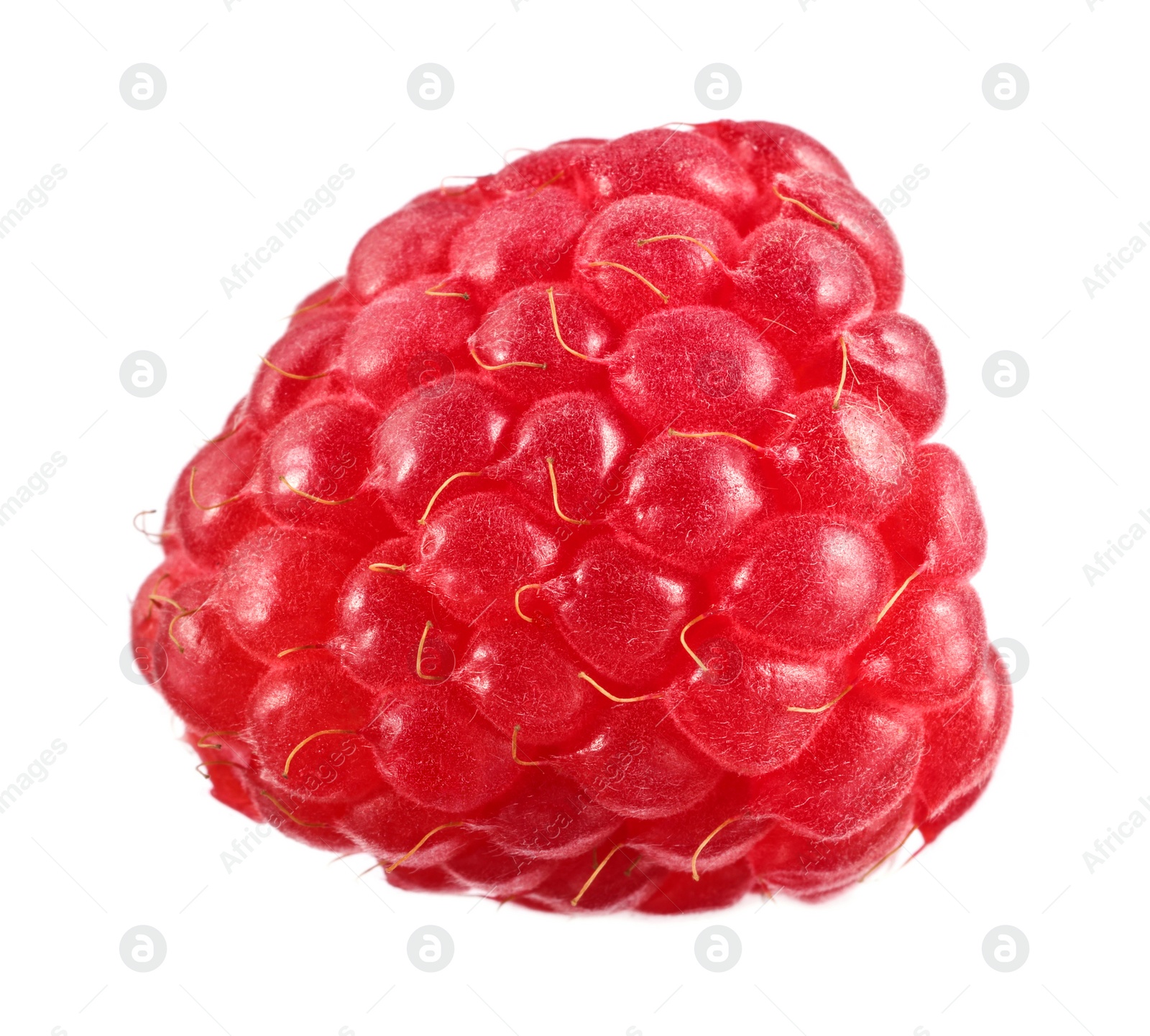 Photo of One tasty ripe raspberry isolated on white