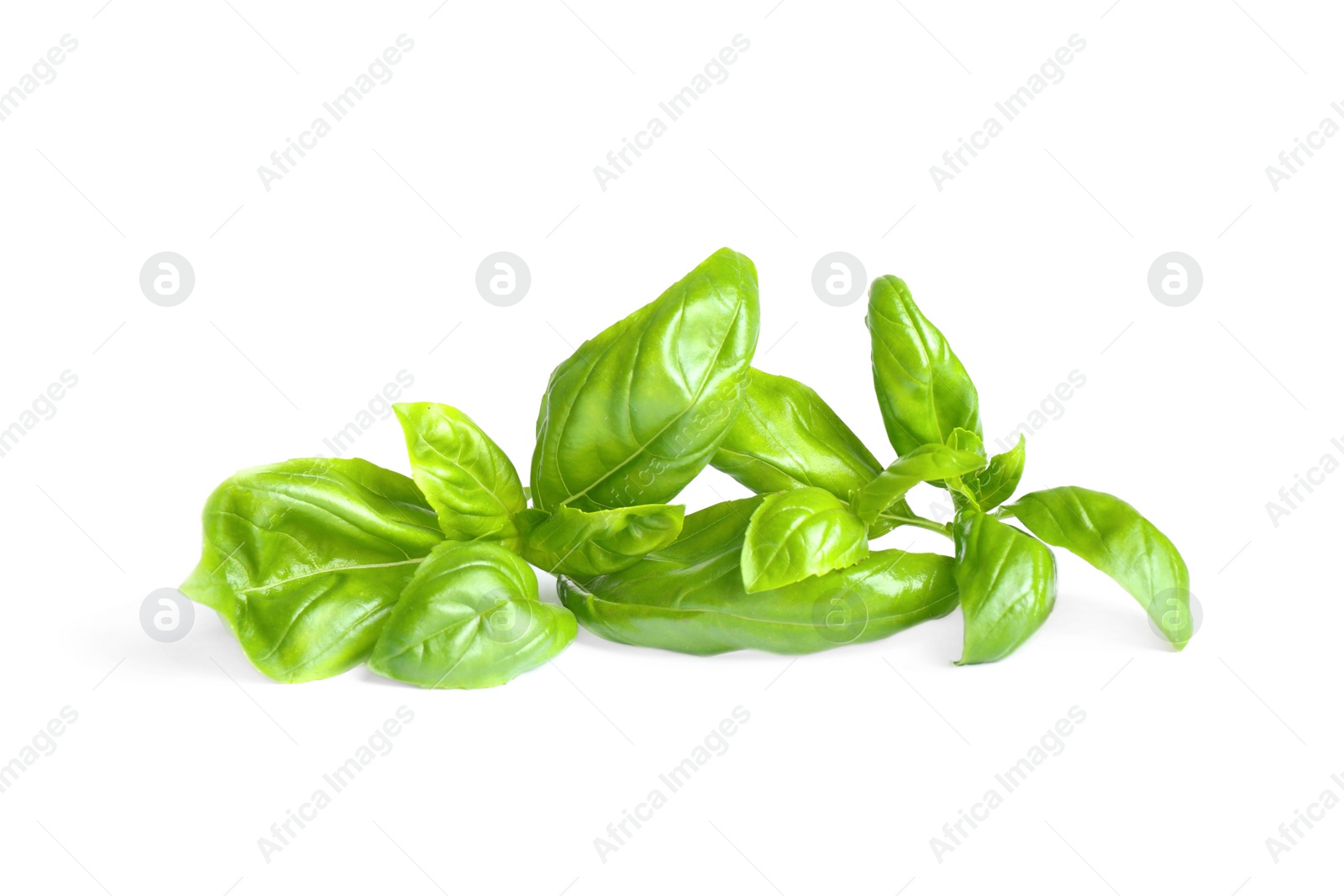 Photo of Fresh green basil leaves isolated on white