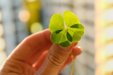 Woman holding green clover leaf against blurred background, closeup