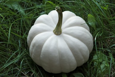 Photo of Whole white pumpkin among green grass outdoors, closeup