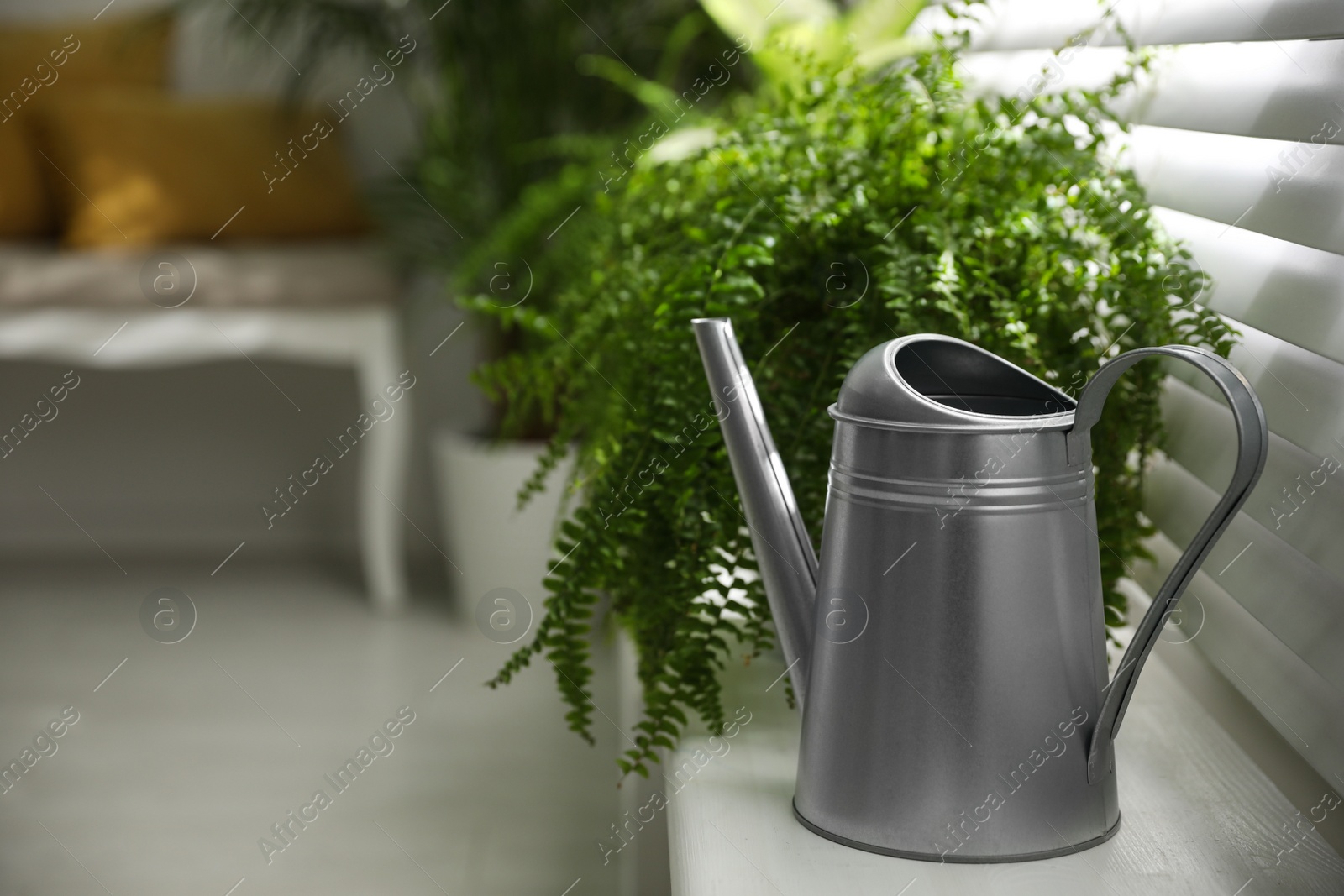 Photo of Beautiful plants and watering can on window sill at home. Space for text