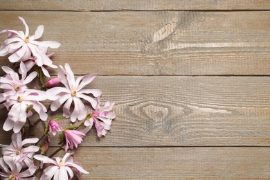 Photo of Magnolia tree branches with beautiful flowers on wooden table, flat lay. Space for text