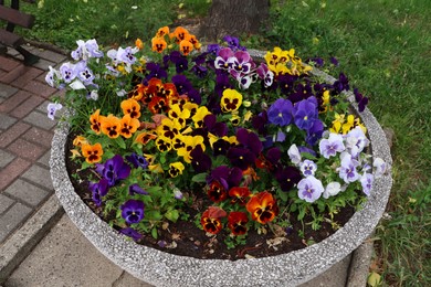 Photo of Stone plant pot with beautiful colorful pansies outdoors. Gardening and landscaping