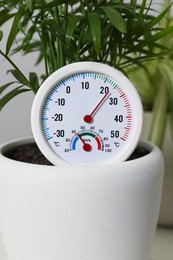 Photo of Round hygrometer with thermometer and plant in flower pot, closeup