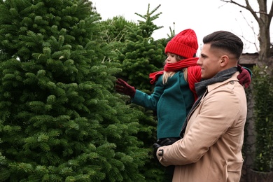 Photo of Father and daughter choosing plants at Christmas tree farm. Space for text