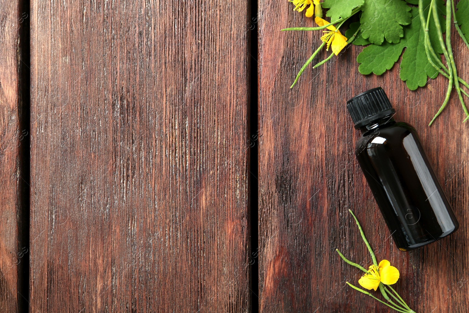 Photo of Bottle of celandine tincture and plant on wooden table, flat lay. Space for text