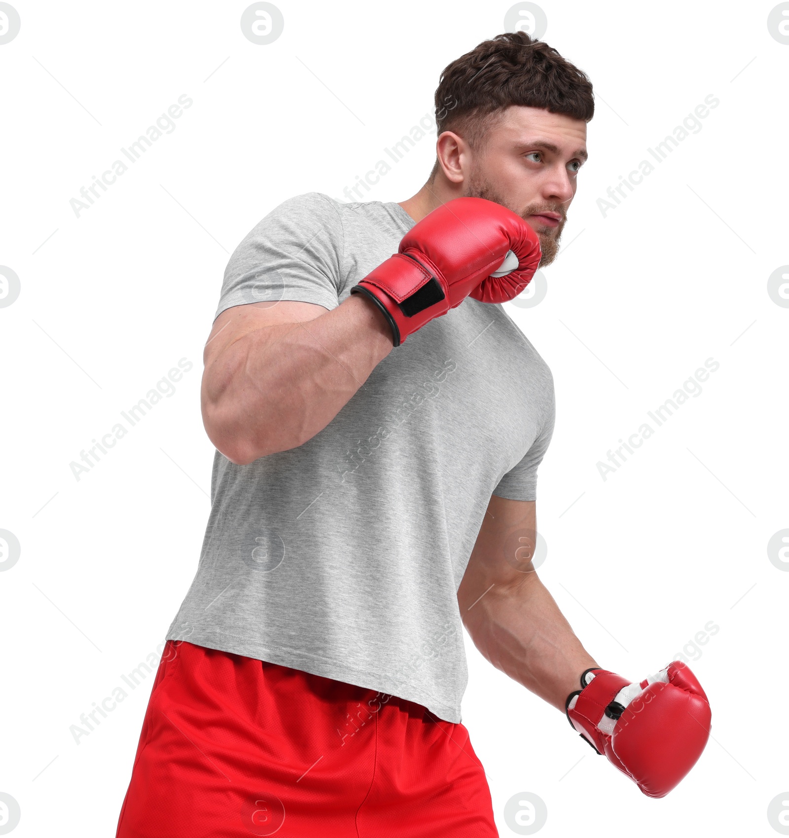 Photo of Man in boxing gloves fighting on white background