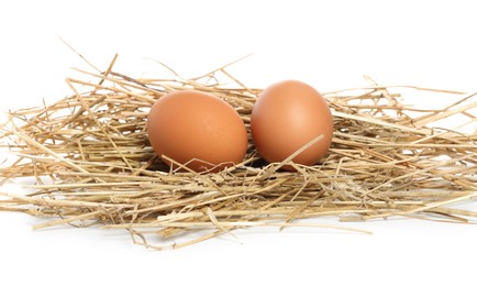 Photo of Chicken eggs and nest isolated on white