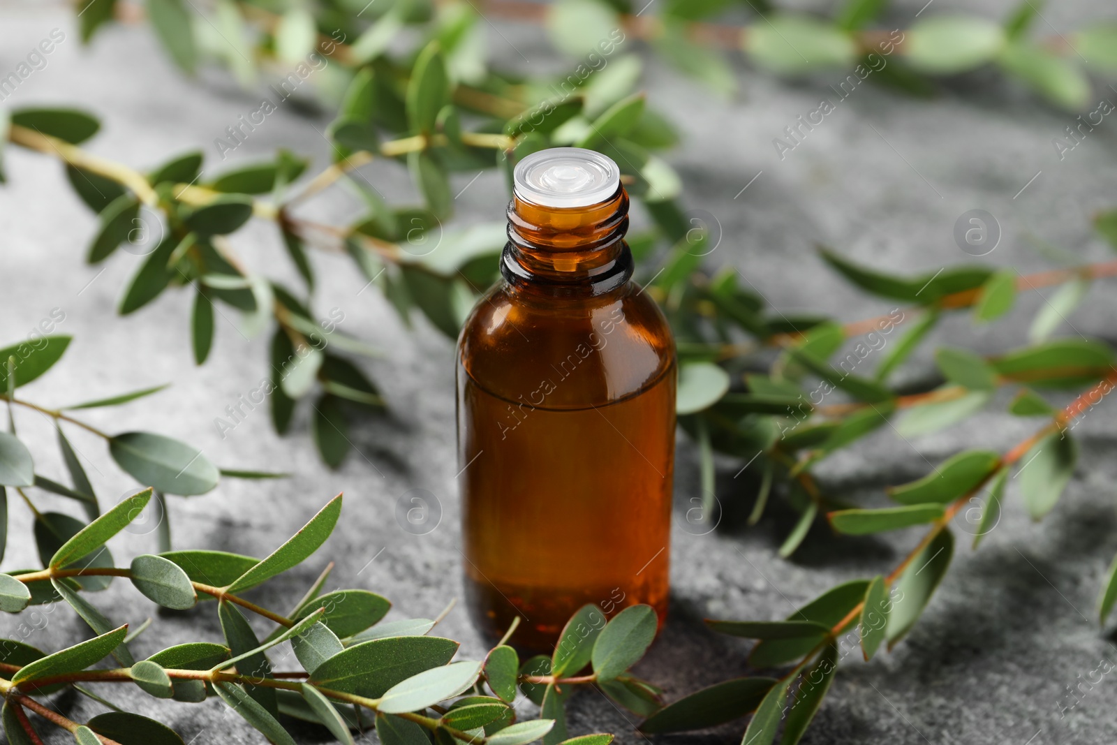 Photo of Bottle of eucalyptus essential oil and plant branches on grey table