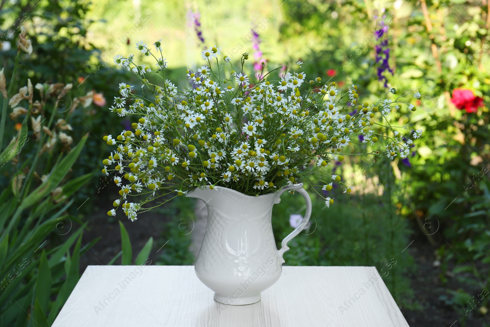 Photo of Beautiful bouquet of chamomiles in ceramic jug on white table outdoors