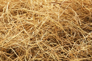 Photo of Dried grass hay as background, closeup view