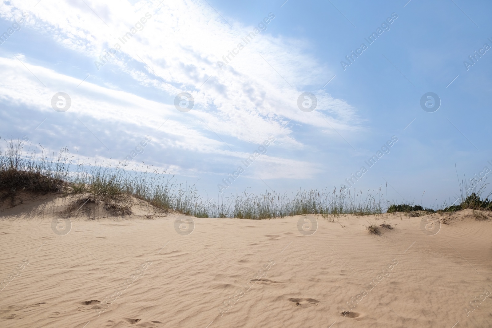 Photo of Dry sand with human footprints in desert on sunny day