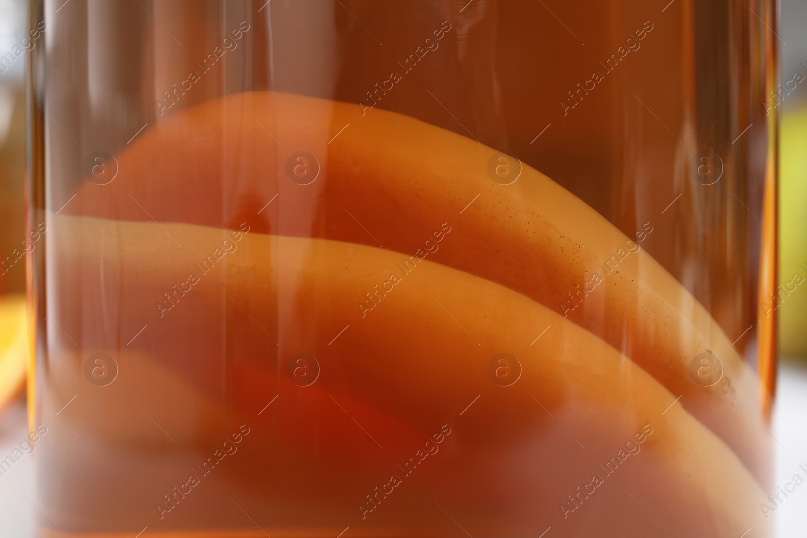 Photo of Homemade fermented kombucha with fungus mushrooms in glass jar on blurred background, closeup