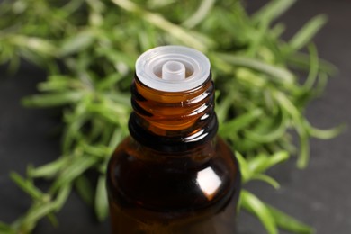 Photo of Bottle of rosemary essential oil on table, closeup