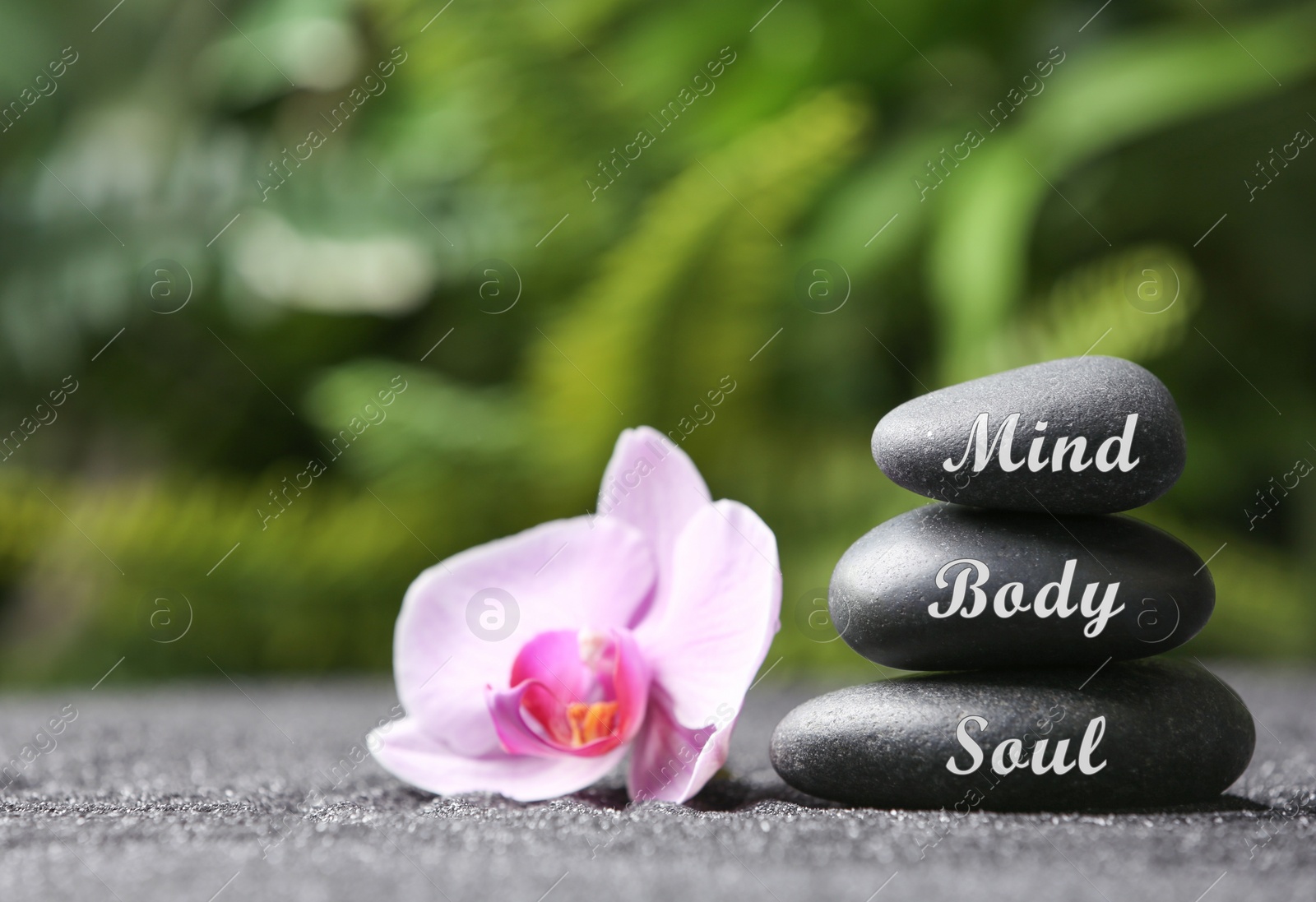 Image of Stones with words Mind, Body, Soul and orchid on sand. Zen lifestyle