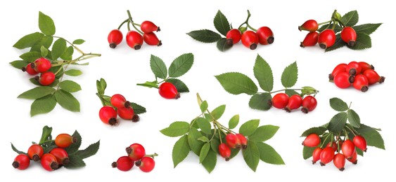 Image of Set with ripe rose hip berries on white background. Banner design