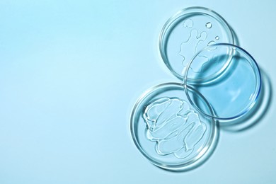 Photo of Petri dishes with samples on light blue background, flat lay. Space for text